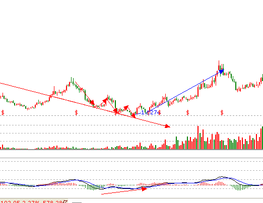 蝴蝶理論(222理論)