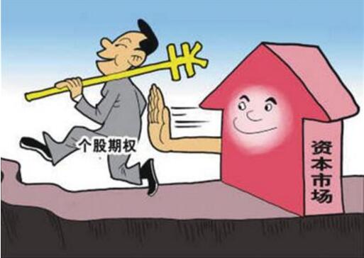 個(gè)股期權(quán)