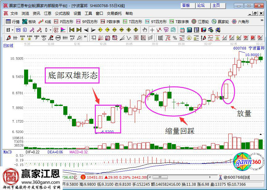 寧波富邦的走勢圖